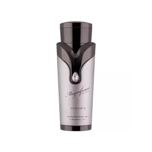 ARMAF - MAGNIFICENT POUR HOMME - EDP 100ml