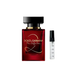 1200-removebg-preview